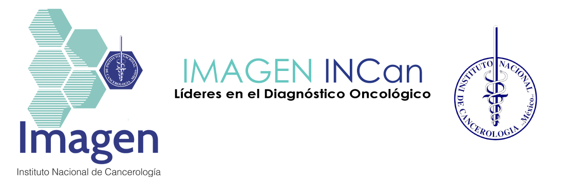 IMAGEN INCAN Logo